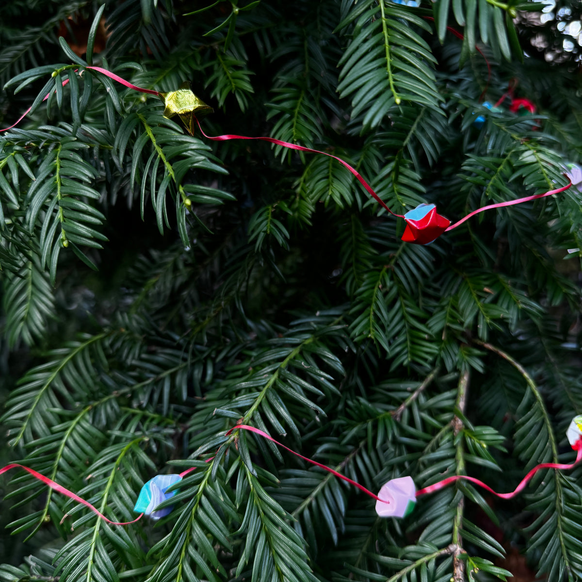Lucky Stars Kerstslinger | Mini Kerstslinger