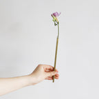Bloemenvaasje van Messing | Voor aan de Wand